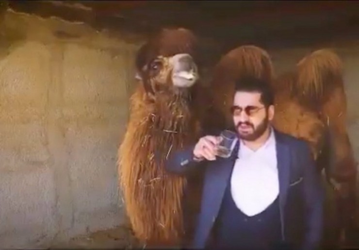 رئیس پلیس تهران از بازداشت فردی که در فضای مجازی نوشیدن ادرار شتر را تبلیغ می‌کرد خبر داد.