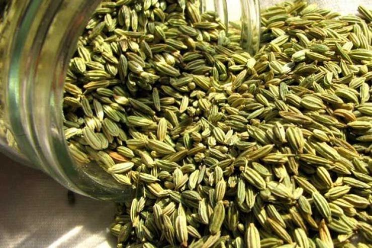 معاون فنی جهاد کشاورزی مشهد گفت: بیشترین سطح زیرکشت زیره کشور در خراسان‌رضوی بوده است و این استان به عنوان قطب تولید زیره سبز در ایران شناخته می‌شود.