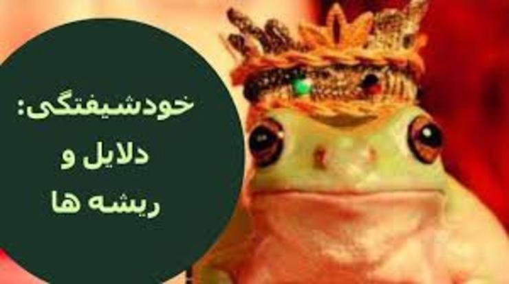  اختلال شخصیت خودشیفتگی NPD یکی از چندین اختلال شخصیت است که با تمرکز بیش از حد به خود شناخته می‌شود و عواقب ناسالمی برای اطرافیان دارد.