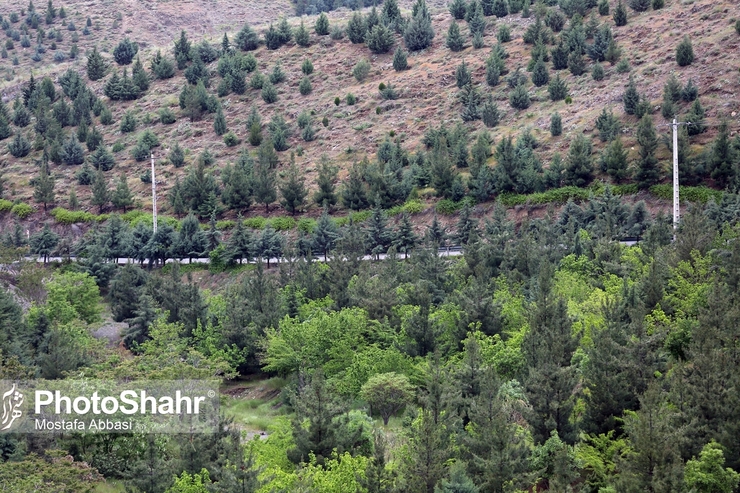 رئیس کمیسیون اقتصادی، سرمایه‌گذاری و مشارکت‌های شورای شهر مشهد گفت: رویکرد پروژه «کوه پارک» ارائه خدمات به مردم و ایجاد فضایی برای گذران اوقات فراغت بوده و رویکرد اقتصادی ندارد.