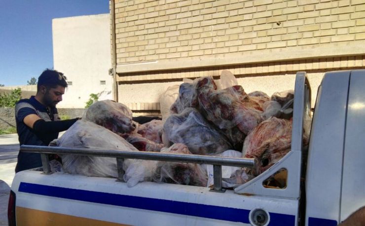 افزون بر ۹۰۰ کیلوگرم گوشت و کله‌پاچه گاوی فاسد در جریان بازرسی کارشناسان این شبکه از انبار یک سردخانه در شهر سبزوار کشف و معدوم شد.
