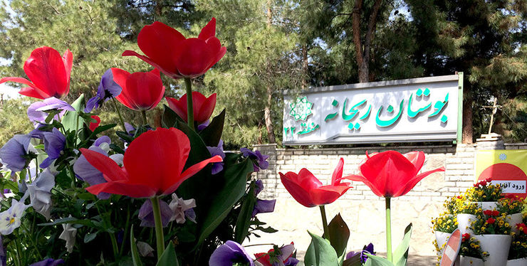 مدیرعامل سازمان پارک‌ها و فضای سبز شهرداری مشهد از بازگشایی بوستان بانوان ریحانه از ۱۵ تیرماه خبر داد.