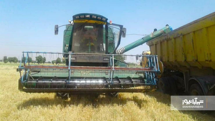 عملیات مکانیزه برداشت جو در سطح ۱۱ هزار هکتار جو آبی و ۱۰ هزار هکتار جو دیم از اراضی کشاورزی مشهد آغاز شد.