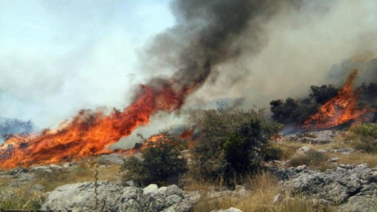 در پی آتش سوزی روز گذشته در پارک تندوره ۲۵ هکتار از اراضی و عرصه های این پارک در آتش سوخت.