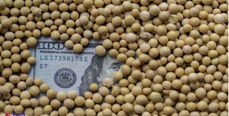 بازار پرالتهاب نهاده‌های دامی در انتظار ارز ۴۲۰۰ تومانی