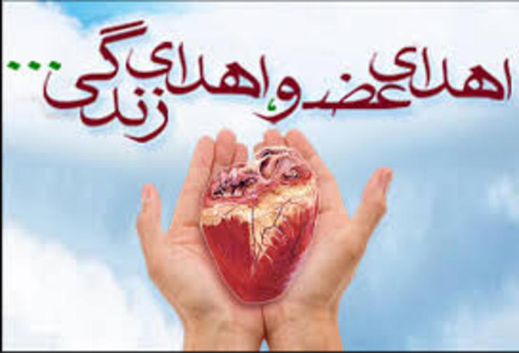 زنی که بعد از مرگ مغزی پسرش اعضای بدن او را به چندین بیمار نیازمند اهدا کرده بود، تنها خواسته‌اش این است که گیرنده قلب پسرش را ببیند تا شاید قلب داغدار خودش کمی آرام گیرد.