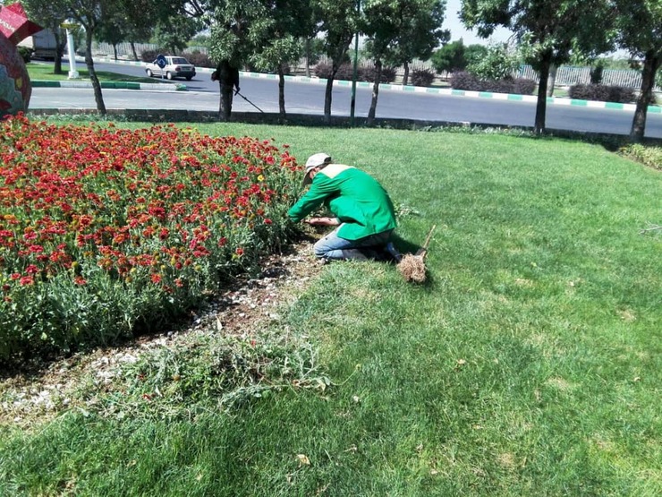 معاون هماهنگی امور عمرانی استانداری خراسان رضوی با تقدیر از اقدام شهرداری مشهد در ساماندهی کارگران ساختمانی گفت: با دستور استاندار محترم، ۱۳ دستگاه اجرایی و نهادهای کارگری برای ساماندهی کارگران ساختمانی تفاهم نامه همکاری امضاء می کنند.