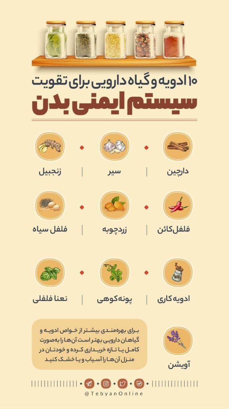 ادویه‌ها و گیاهان دارویی نه تنها موجب تقویت سیستم ایمنی بدن شده بلکه به سلامت دیگر سیستم‌ها و اندام‌های بدن کمک کرده و باعث بهبود و ارتقای سلامت افراد می‌شوند.
