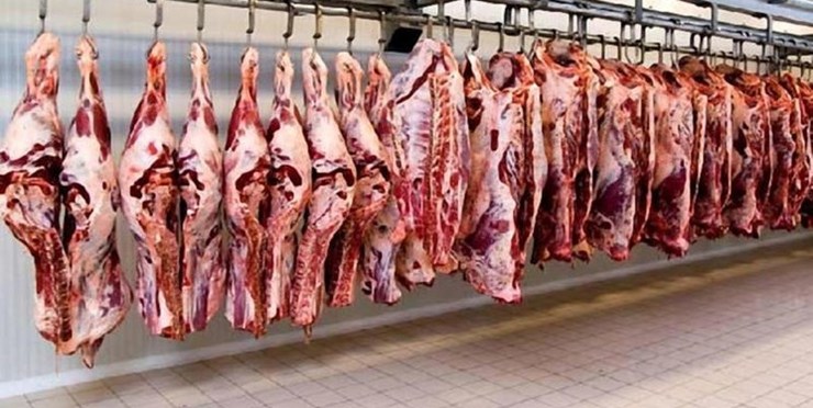 طی ۳ ماهه اول امسال، از ورود ۴۶ تن گوشت غیرقابل مصرف به بازار جلوگیری شد.