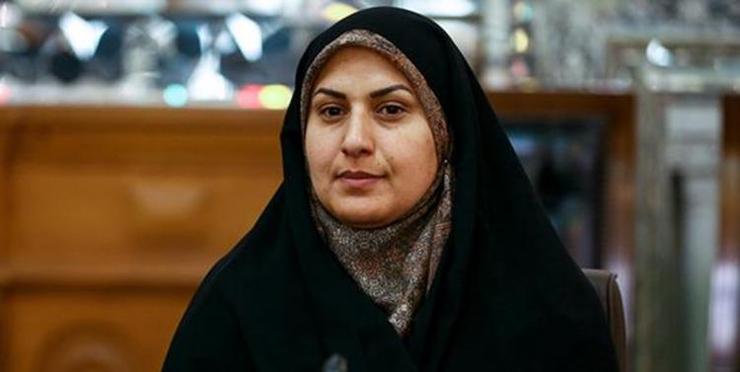 محمودی نماینده شهرضا، با انتشار نامه‌ای به هیئت رئیسه مجلس نقل قولی که از طرف وی با این عنوان که «هیئت رئیسه مجلس به نمایندگان زن گفته است زنان باید بچه داری کنند» را تکذیب کرد.