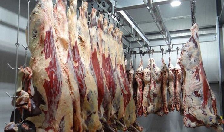 رییس دانشکده علوم پزشکی تربت‌جام گفت: ۱۶ بیمار مشکوک به تب خونریزی دهنده کریمه کنگو در این شهرستان شناسایی شدند که نتیجه آزمایش ۱۱ نفر آنان مثبت اعلام شده است.