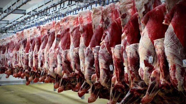 نگهداری گوشت دام بعد از کشتار به مدت ۲۴ ساعت در اتاق پیش‌سردکن نقش مهمی در پیشگیری از انتقال بیماری تب کریمه کنگو از دام به انسان دارد.