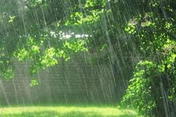 کارشناس مرکز پیش‌بینی اداره کل هواشناسی خراسان رضوی گفت: بارشهای پراکنده رگباری باران برای امروز و چند روز آینده در مناطق کوهستانی و شمال غرب استان خراسان رضوی پیش‌بینی شده است.
