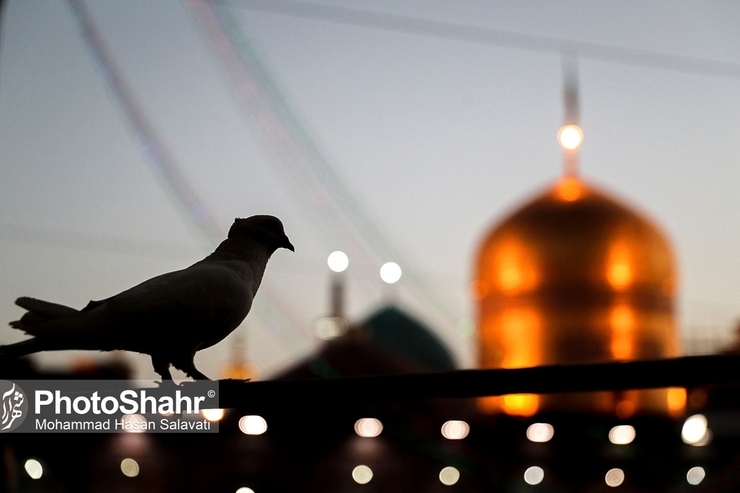 معاون تبلیغات اسلامی آستان قدس رضوی گفت: مراسم روز زیارت مخصوص امام رضا (ع) چهارشنبه هفته جاری ۲۵ تیرماه در حرم مطهر رضوی برگزار می‌شود.