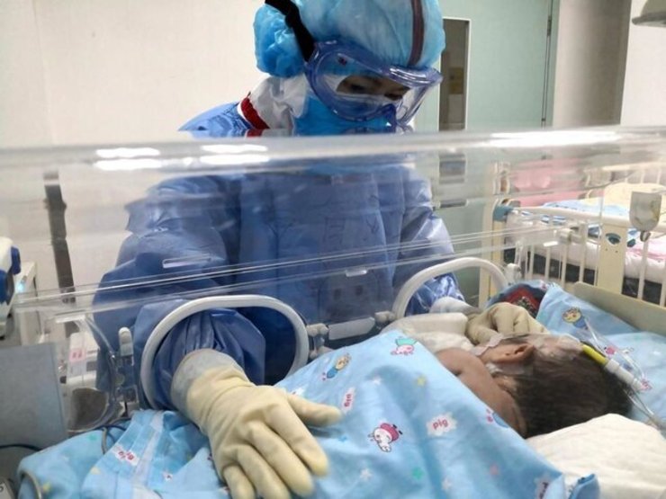 دبیر ستاد مبارزه با کرونا در استان بوشهر گفت: در میان فوتی‌های کرونا طی چند روز اخیر یک نوزاد ۲۳ روزه وجود دارد و مابقی در رده سنی ۳۸ تا ۸۲ سال هستند.
