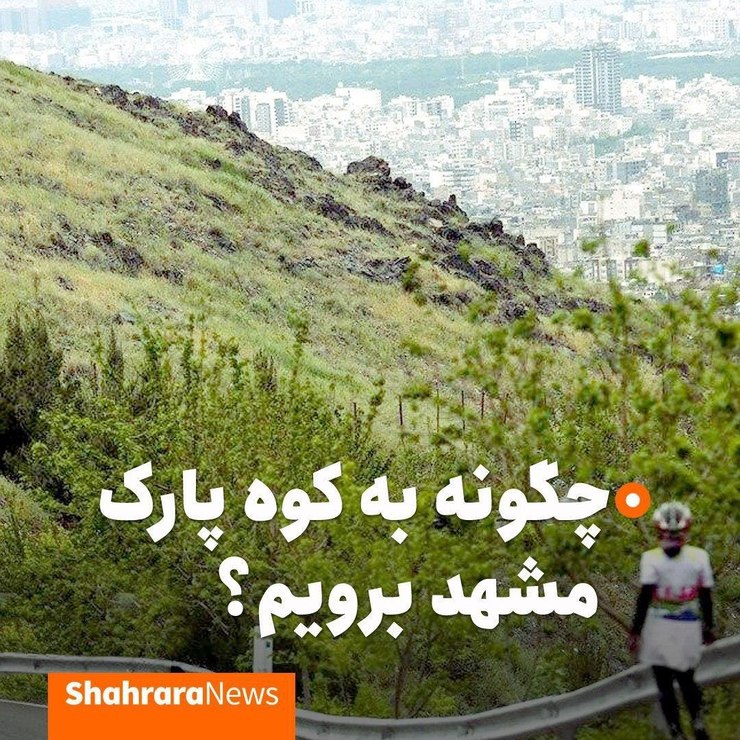 کوه پارک، یک پارک کوهستانی واقع‌شده در ارتفاعات جنوبی مشهد است که جنگلی مصنوعی و دست‌ساز در آن احداث شده است و به‌عنوان یکی از ریه‌های تنفسی این کلان‌شهر مطرح است.