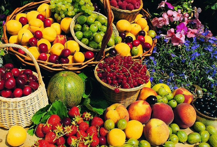 غذا‌های پر رنگ می‌توانند تاثیر خیره کننده‌ای بر سلامتی افراد بگذارند. رژیم رنگارنگ می‌تواند خطر ابتلا به کرونا یا بیماری‌های مزمن را نیز تا حدودی کاهش دهد.