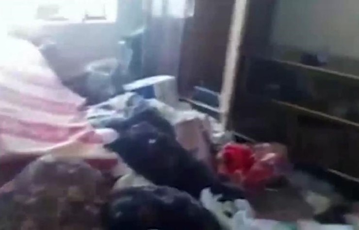 سرقت مسلحانه با لباس نظامی در خرمشهر و حمله به زنان بدسرپرست و بچه‌های یتیم که در فضای مجازی بازتاب داشت در دستورکار پلیس قرار گرفت.
