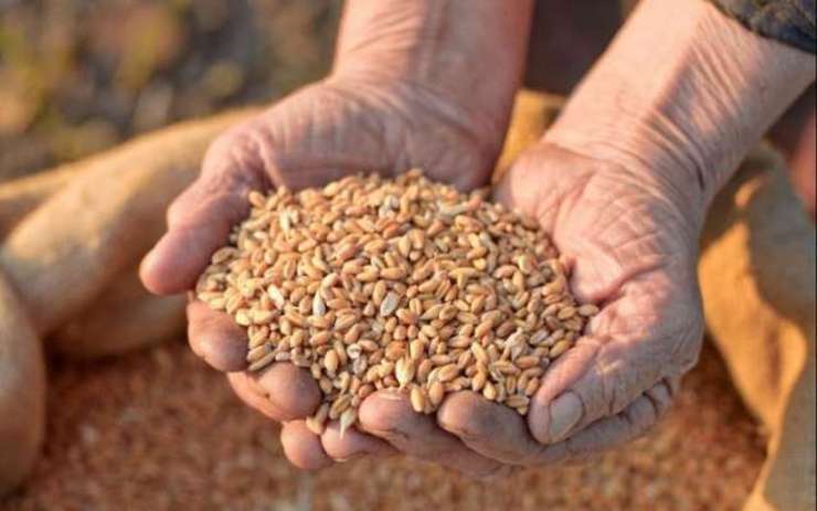 تعلل در تأمین نهاده دامی، عامل افزایش قیمت گوشت مرغ