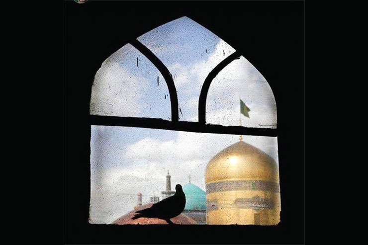 گفتگو با جواد مشهدی عکاس مشهدی که بیشترین عکس‌هایش را از حرم مطهر رضوی ثبت کرده است.