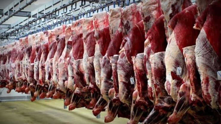 چندی پیش رئیس اتحادیه فروشندگان گوشت دامی مشهد از افزایش قیمت گوشت دام بعد از ماه مبارک رمضان خبر داد و خروج غیرقانونی روزانه ۱۰۰ رأس دام گوساله از خراسان‌رضوی به کردستان عراق را یکی از علت‌های مهم افزایش قیمت گوشت برشمرد. مسئله‌ای که دبیرخانه کمیسیون مبارزه با قاچاق کالا و ارز استانداری آن را رد کرد!