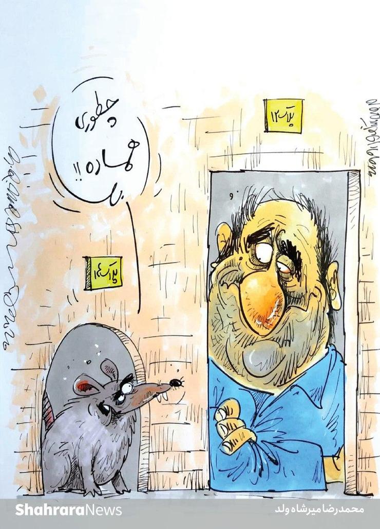طرح از محمدرضا میرشاه ولد، کارتونیست روزنامه شهرآرا