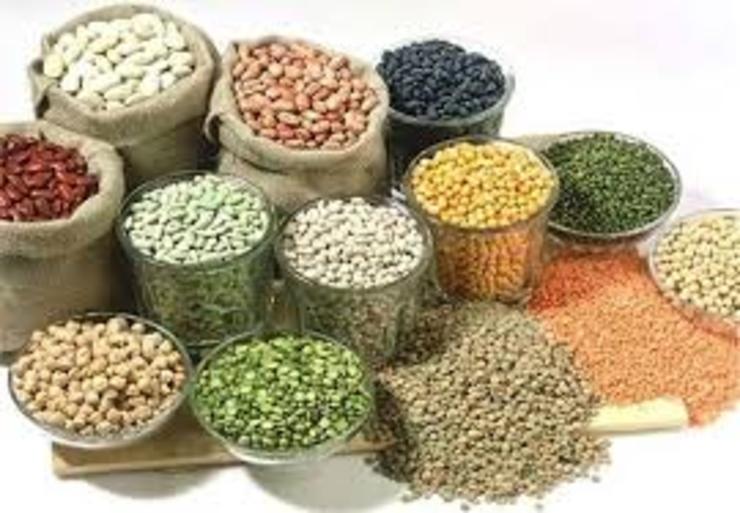 در تیرماه قیمت حبوبات افزایش چشمگیری نداشته و افزایش در حدود ۲/۲ تا ۲/۴ درصد بوده است.