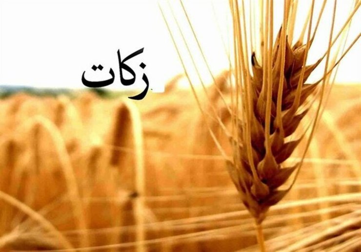 معاون رئیس سازمان و مدیر جهاد کشاورزی شهرستان مشهد از جمع‌آوری زكات گندم و جو هم‌زمان با فصل برداشت گندم در شهرستان مشهد خبر داد.