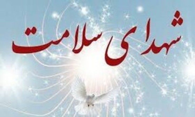 رییس بنیاد شهید و امور ایثارگران گفت: شهدای سلامت موضوع «آیین‌نامه تعیین مصادیق و امتیازات شهید خدمت وزارت بهداشت، درمان و آموزش پزشکی» با حفظ عنوان «شهید خدمت» از مزایا و امتیازات افراد «در حکم شهید» برخوردار می‌شوند.
