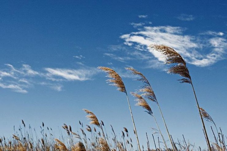 مدیرکل پیش‌بینی و هشدار سریع سازمان هواشناسی از افزایش حدود ۵ تا ۸ درجه‌ای دما در بخش‌هایی از کشور و بارش باران، گاهی همراه با رگبار و رعدوبرق و وزش باد شدید در برخی دیگر از نقاط کشور طی سه روز آینده خبر داد.