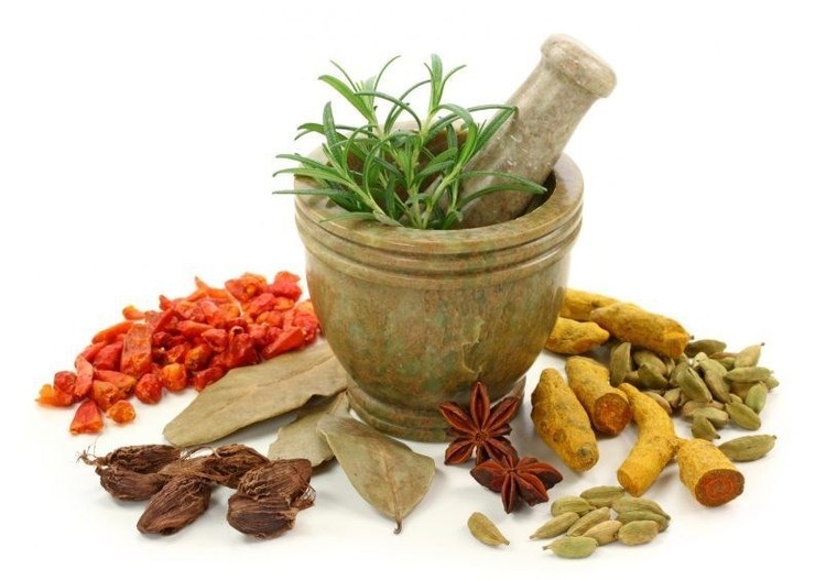 عضو کمیته علمی مبارزه به کرونا گفت: ۲ داروی گیاهی برای تسکین بیماران سرپایی کرونایی مجوز گرفتند، تجویز این داروها اجباری نیست ولی اثربخشی تسکینی دارند.