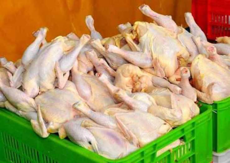با اجرای طرح ملی تولید مرغ گوشتی سایز در مصرف نهادهای دامی صرفه جویی خواهد شد.