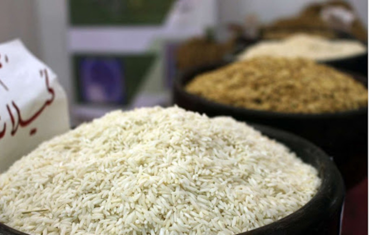 معاون فنی و امور گمرکی گمرک گفت: بعد از اجرا شدن «ممنوعیت فصلی ورود برنج» به کشور، اگر مشکلات واردکنندگان برنج در حوزه ارز برطرف شود، ترخیص برنج امکان‌پذیر نخواهد بود.