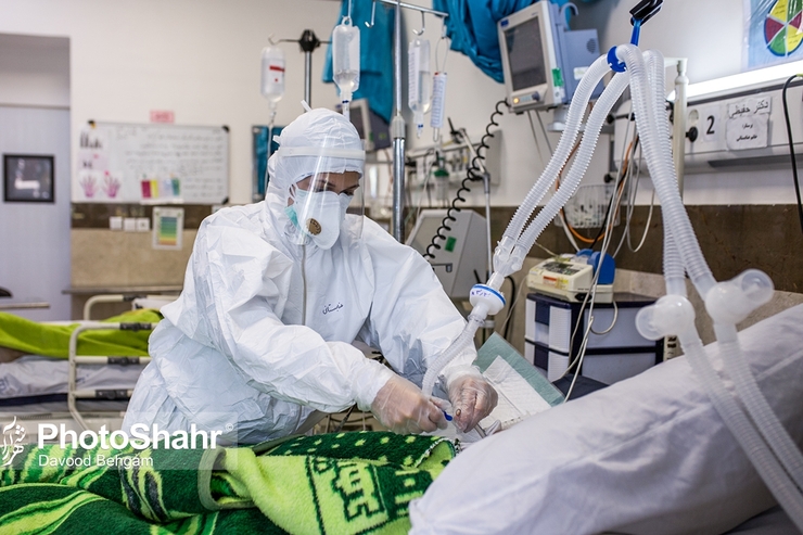 جانشین رییس دانشگاه علوم پزشکی مشهد در قرارگاه دانشگاهی مبارزه با کرونا گفت: در حال حاضر یک هزار و ۱۷۰ بیمار مبتلا به کووید۱۹ در مراکز درمانی مشهد و دیگر مناطق زیر پوشش این دانشگاه بستری هستند.