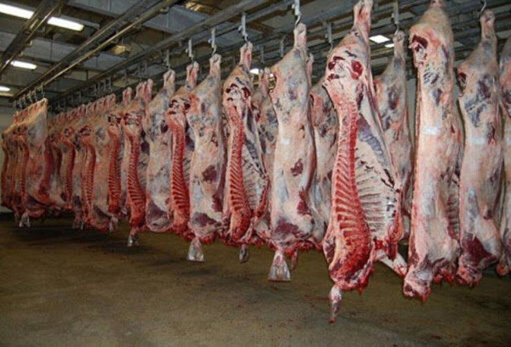 رییس دانشکده علوم پزشکی تربت‌جام گفت: ۱۷ بیمار مشکوک به ابتلای تب خونریزی دهنده کریمه کنگو در این شهرستان شناسایی شدند که نتیجه آزمایش ۱۴ نفر آنان مثبت اعلام شده است.