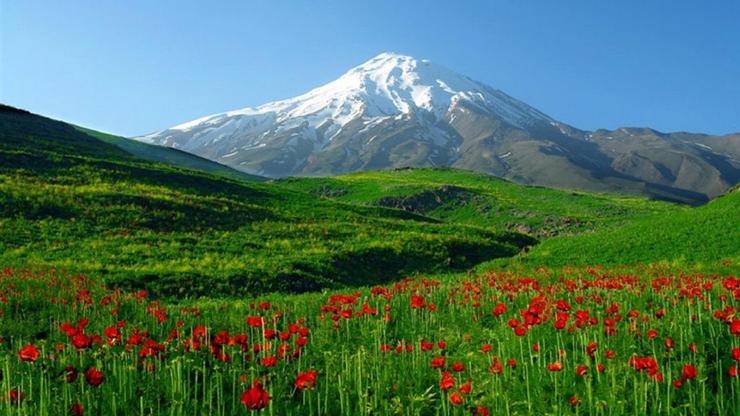 مدیرکل دفتر حقوقی سازمان جنگل‌ها با بیان اینکه پیگیر موضوع دماوند هستیم، ولی باید اسناد و مدارک دقیق‌تر بررسی شود، گفت: اگر عرصه وقف شده مرتع باشد مشمول تعریف ماده یک قانون ملی شدن جنگل‌های کشور می‌شود و بایستی به دولت بازگردد.