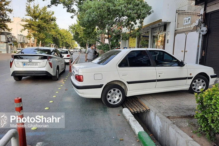 کارشناسان ترافیکی معتقدند توقف‌های بیجا و مزاحم  وسایل نقلیه مانند استخوانی در گلوی ترافیک هستند. بی توجهی بسیاری از رانندگان به علائم افقی مثل خط کشی‌ها و نقوشی که روی آسفالت است و علائم عمودی، چون تابلو‌ها و چراغ‌های فرماندهی در معابر، مشکلات بزرگی در ساعاتی که ترافیک به اوج خود می‌رسد ایجاد کرده است.