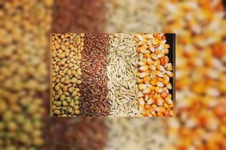 معاون امور تولیدات دامی وزارت جهاد کشاورزی گفت:  حذف ارز رسمی  برای کشور تبعاتی دارد به طوری که باید نقدینگی تولیدکنندگان بیش از چهار برابر شود که باید برای چنین نقدینگی بسترسازی شود.