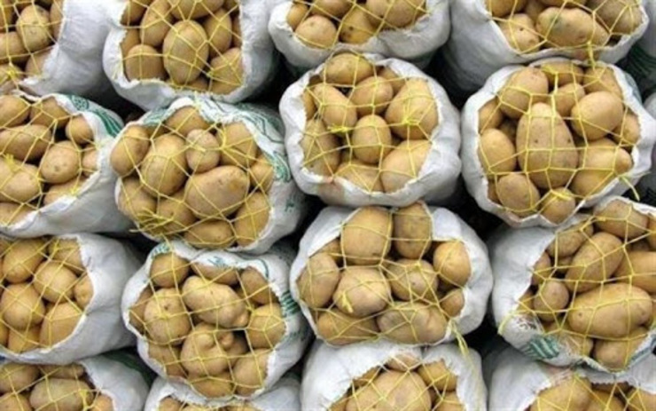 دبیر تنظیم بازار کشور با اشاره به تصمیمات اتخاذ شده برای صادرات سیب زمینی، گفت: صادرات این کالا در حال حاضر بدون پرداخت عوارض مجاز است.