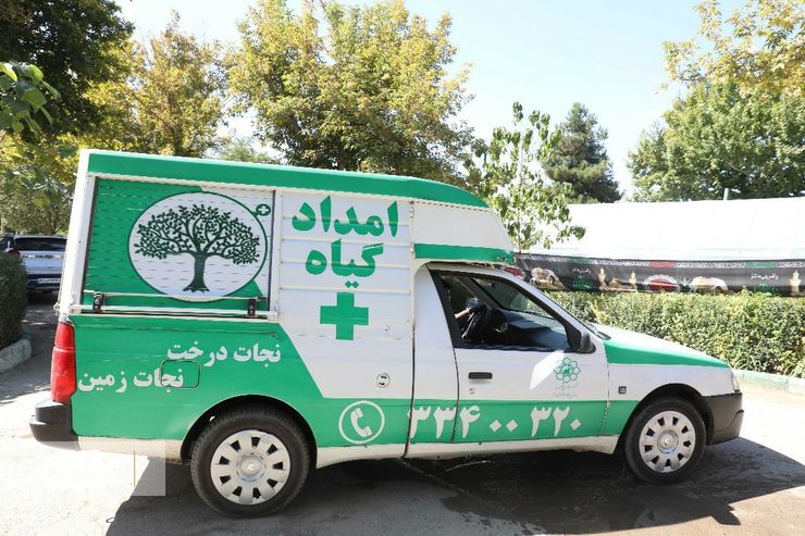 معاون خدمات شهری شهرداری مشهد گفت: در سه سال گذشته به بیش از ۶۵۰۰ اصله درخت در معابر فرعی شهر، با اطلاع‌رسانی شهروندان مشهدی و به‌وسیله‌ گروه‌های سیار با عنوان «امداد گیاه» تیمار و رسیدگی شده است.