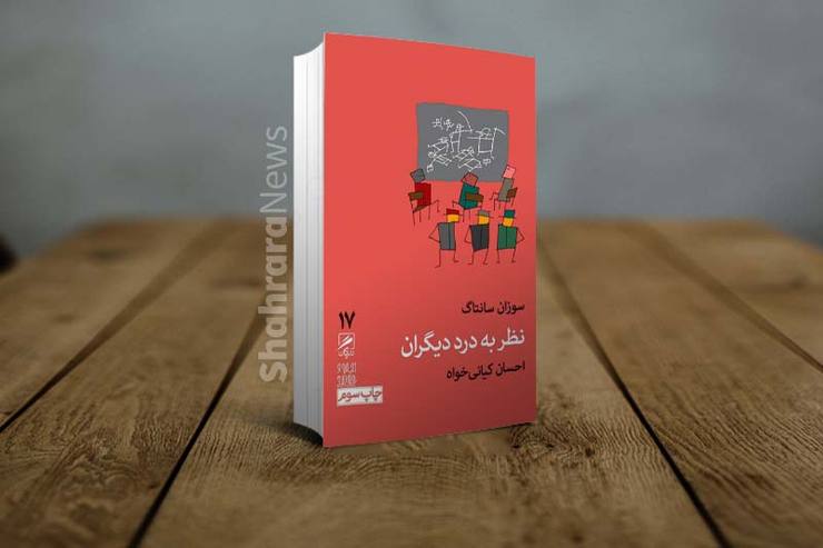 سوزان سانتاگ در کتاب نظر به درد دیگران رویکرد تازه‌ای به هنر رسانه و عکاسی دارد و درک تازه‌ای از تصاویر امروزی جنگ و فاجعه ارائه می‌دهد. می‌توان کتاب او را در زمره کتب فلسفی قلمداد کرد و با رویکرد جزئی‌نگر آن را فلسفه کاربردی دانست.