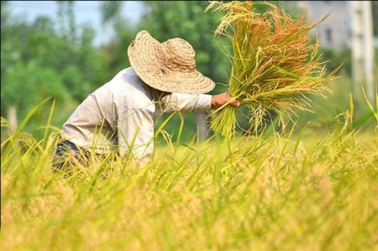 وزیر تعاون، کار و رفاه اجتماعی در حساب کاربری خود در توئیتر از پوشش بیمه‌ اجتماعی رایگان‌ همگانی برای یک میلیون و ۴۰۰ هزار خانوار روستایی محروم از بیمه اجتماعی خبرداد.