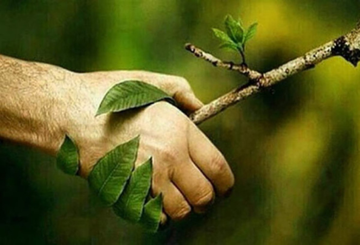 اعضای انجمن قلعه تُل خوزستان ٩ساعت نزدیک به چهار تریلی سنگ و بتن زیر ریشه‌ی آب برده‌ی بلوط گذاشتند تا مقاوم شود.