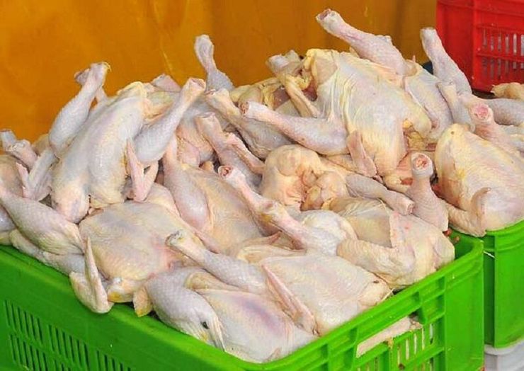 حبیب اسداله نژاد نایب رئیس کانون انجمن صنفی مرغداران گوشتی از افزایش قیمت مرغ در بازار خبر داد و گفت: امروز متوسط نرخ هر کیلو مرغ زنده درب مرغداری ۱۲ هزار و ۵۰۰ تا ۱۲ هزار و ۶۰۰ تومان و مرغ آماده به طبخ در خرده فروشی‌ها ۱۸ هزار و ۷۰۰ تا ۱۹ هزار تومان است.