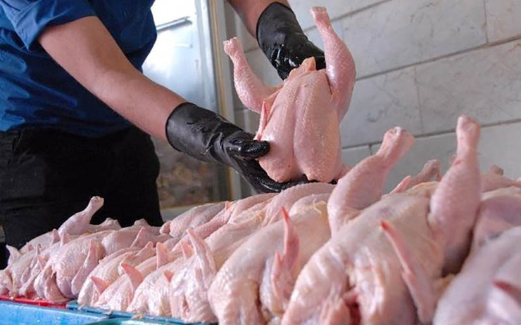 نایب رئیس انجمن مرغداران گوشتی گفت: با توجه به شرایط فعلی عرضه و تقاضا پیش بینی می‌شود که قیمت مرغ تا ۱۵ روز آینده نوسانی نداشته باشد.