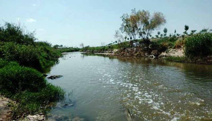 جانشین معاون حقوق عامه و پیشگیری از وقوع جرم دادستان مرکز استان خراسان رضوی گفت:با مدیرانی که بر اساس اعلام استانداری نسبت به اجرای بند‌های تفاهم نامه کشف رود اقدام ننمایند، برخورد خواهد شد.