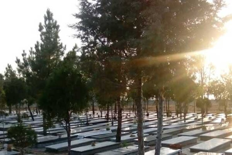 مرد میانسال در مراسم سالگرد دخترش در بهشت زهرا در اقدامی جنون‌آمیز پسرش را با ضربه‌های چاقو بشدت مجروح کرد.