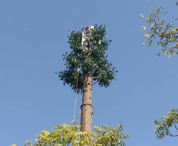 در راستای طرح ساماندهی دکل‌های مخابراتی در سطح شهر، دومین دکل با زیباسازی درختی در مشهد نصب شد.