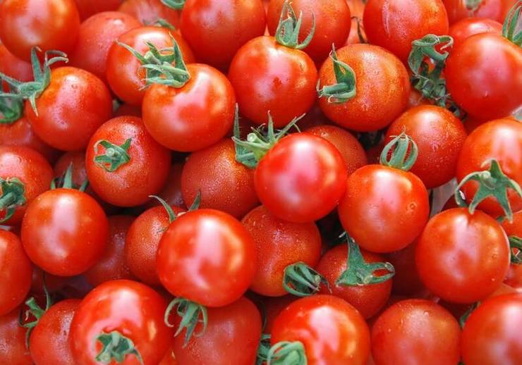 قیمت یک کیلوگرم گوجه فرنگی به ۱۵ هزار تومان رسیده که این قیمت برای محصولی مانند صیفی بالا و غیرمنطقی است.