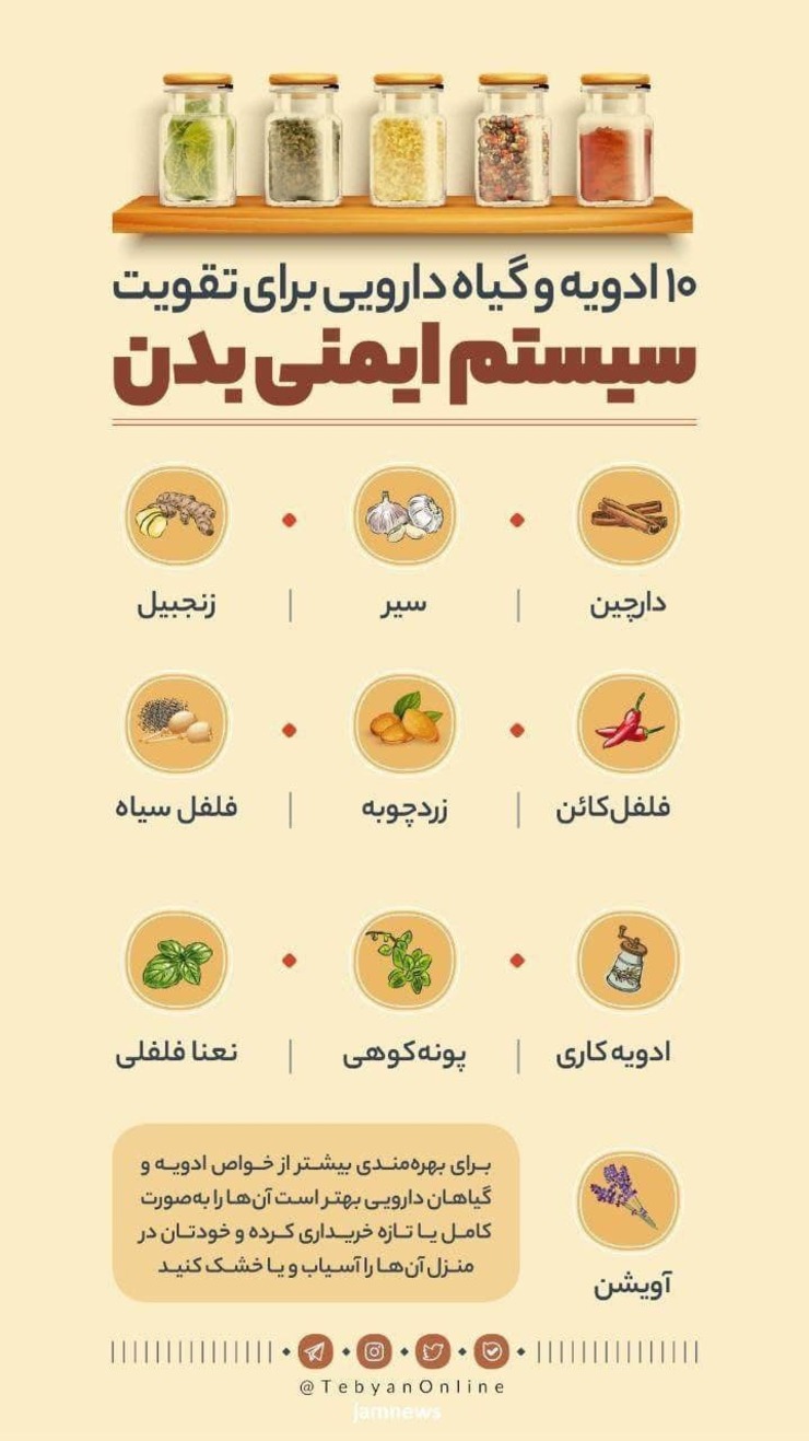 متخصصین طب سنتی: ادویه و گیاهان دارویی با طبع گرم برای تقویت سیستم ایمنی بدن مفید می‌باشد.